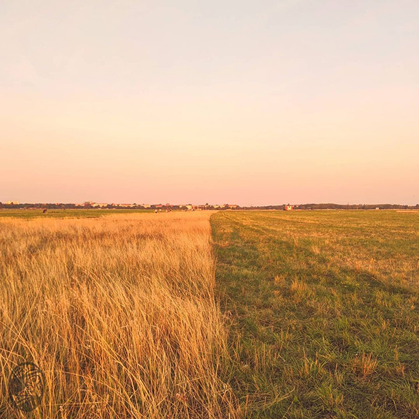 一 #線 #之 #差 #a #lINE #oF #dISTINCTION