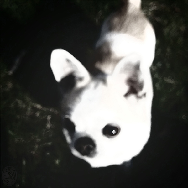 半日閒｜hALF dAY rELAXATION