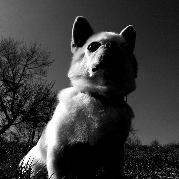 默、學、誨|rEMEMBER, lEARN, tEACH