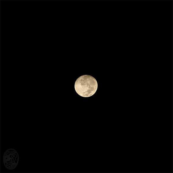 月、靜夜|mOON, qUIET nIGHT