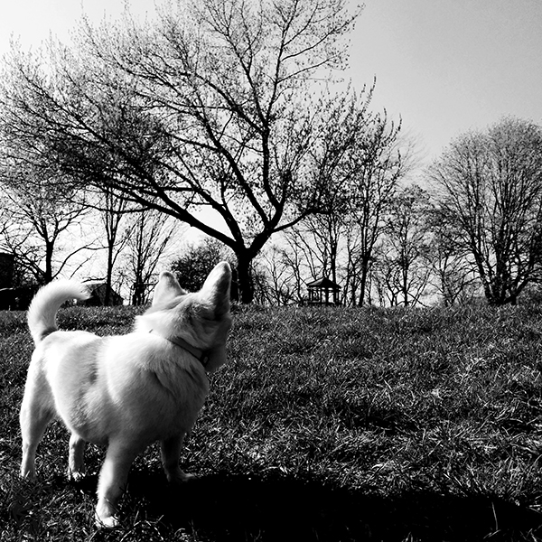 驀然、回首|sUDDENLY, lOOK bACK