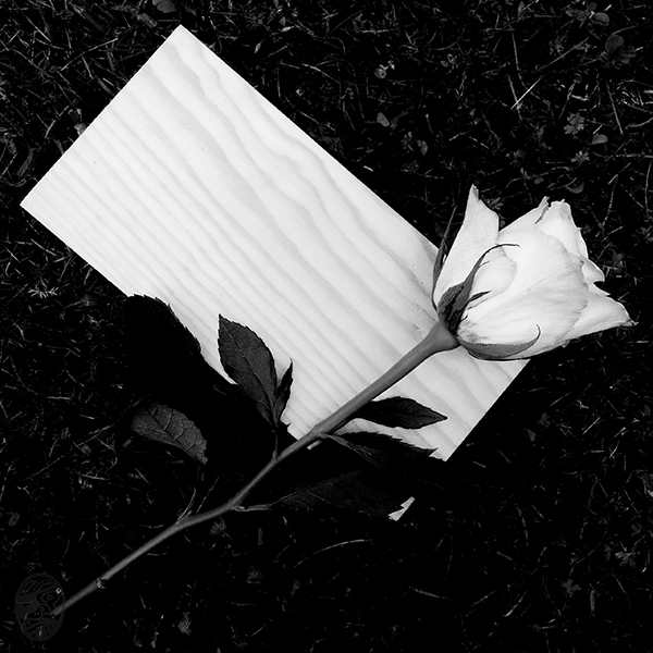 ・水、雲、情 ∆∇ wATER, cLOUD, fEELING・ - 思君