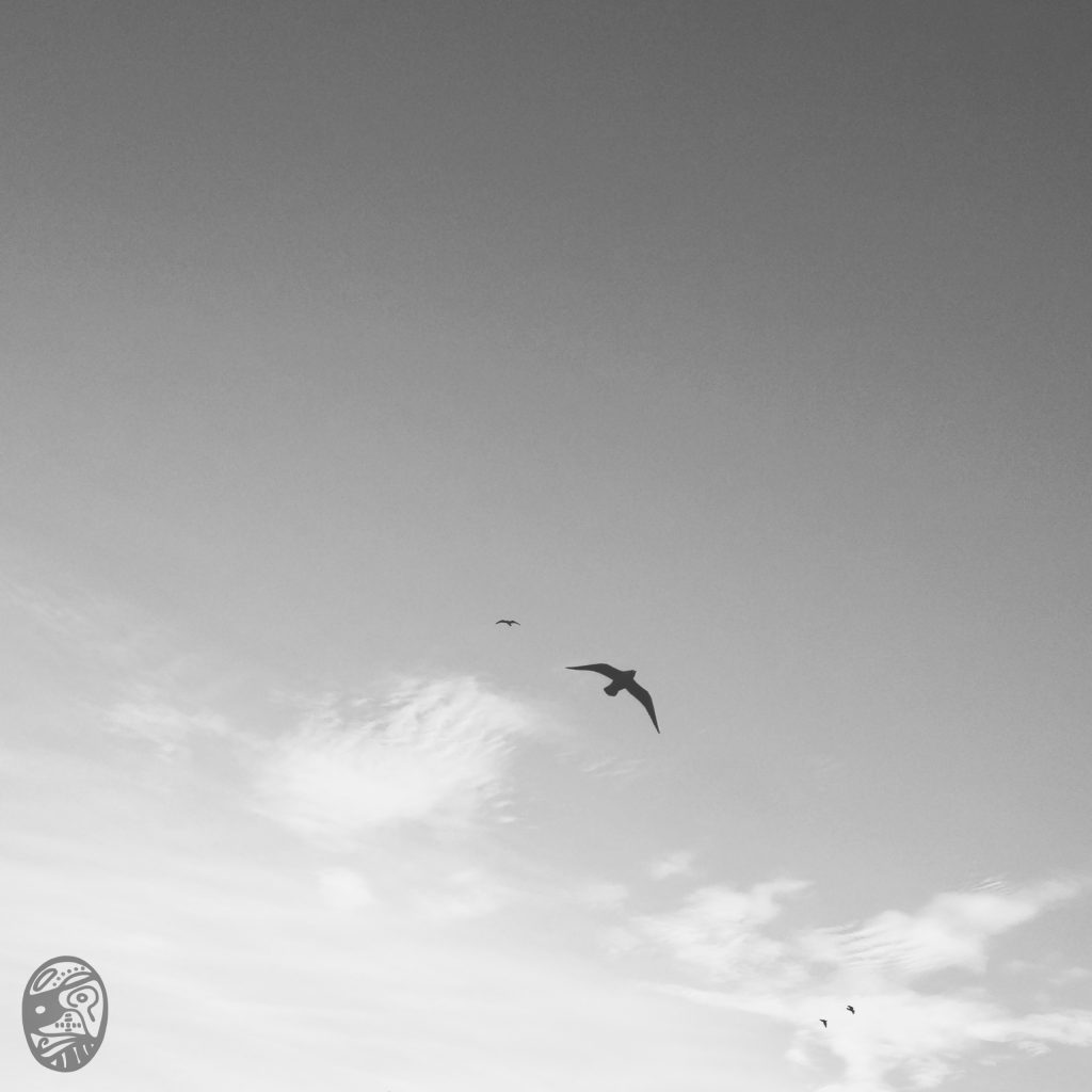 孝、欽|fILIAL , rESPECT