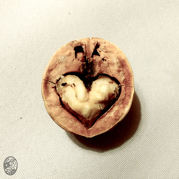 #堅 #心 #定 #志 #aDAMANT #hEART #sTRONG #wILL