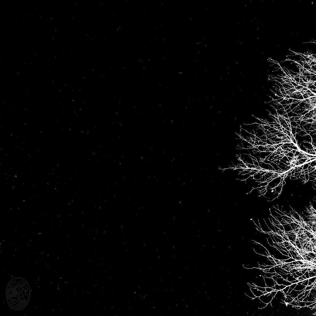 對、雪|wATCH, sNOW