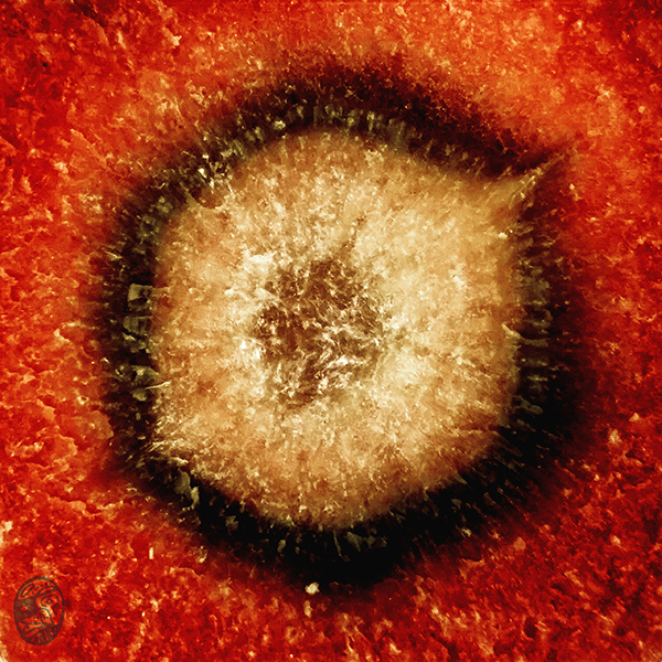 #戀 #瞳 #癖 #lOVE #pUPIL #fETISH