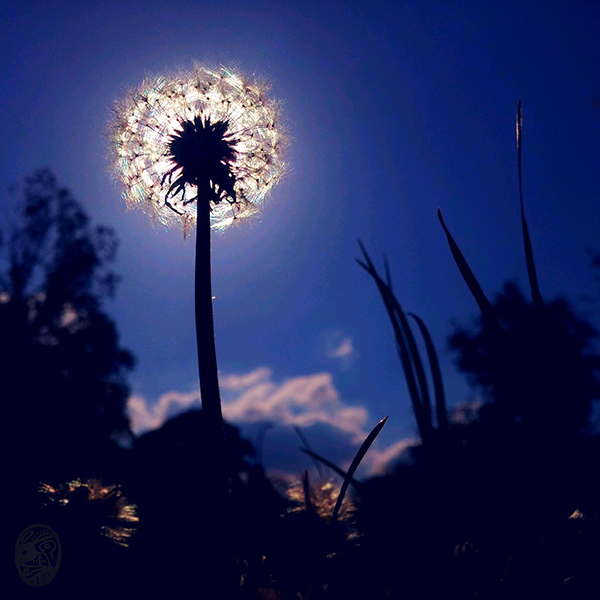 #賞 #心 #悅 #目 #pLEASE #hEART #dELIGHT #eYE