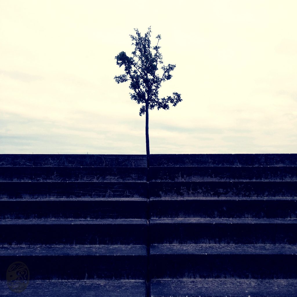 樹、人|nURTURE, tALENTS