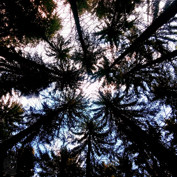 #歇 #一 #會 #rEST #a #mOMENT