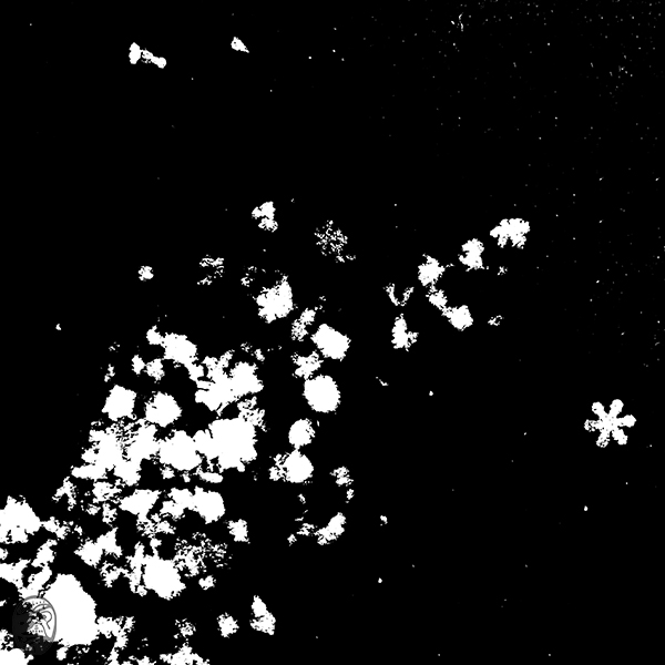 六出|sNOWFLAKES