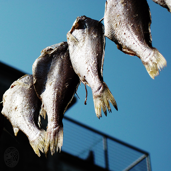 孝、敬|fILIAL, rESPECT