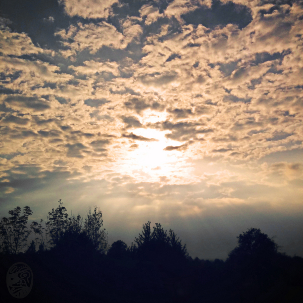 靜、禪、深|qUIET, zEN, dEPTH