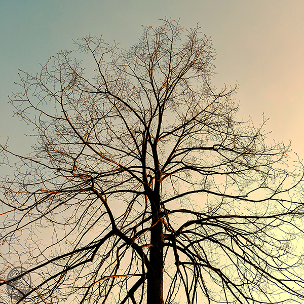 惡、善、賢、德|bAD, gOOD, wISE, vIRTUOUS