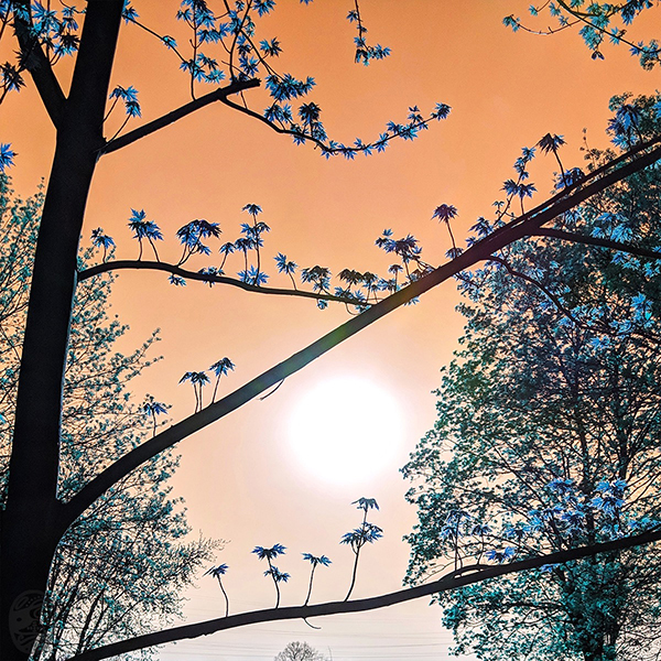 #有 #朝 #一 #日 #tHERE #mORNING #oNE #dAY