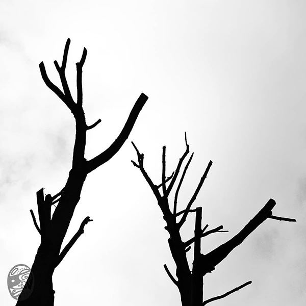 #一生 #一世 #一雙 #oNE #lIFE #wHOLE #tIME #a #pAIR